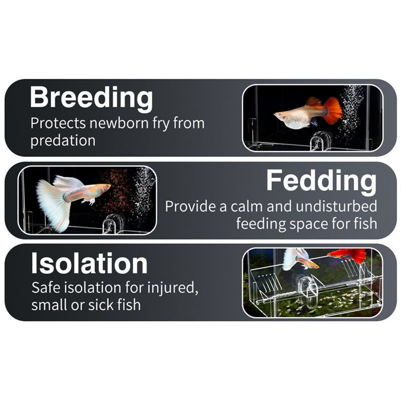 A25F-Baby Fish Breeding Box Sc - Lab Incubator recensione e prezzo