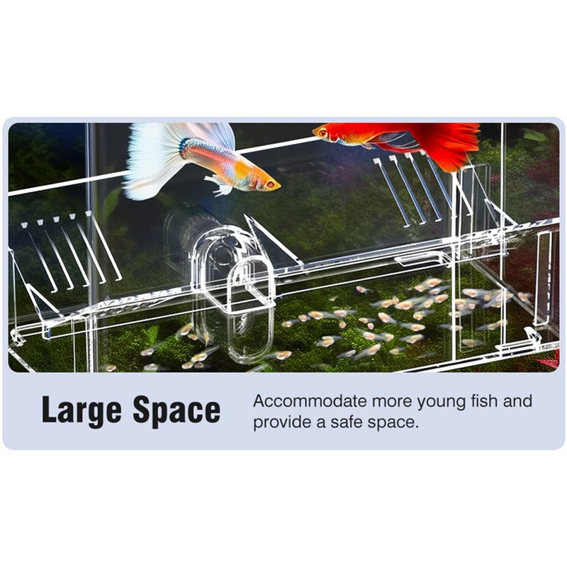 A25F-Baby Fish Breeding Box Sc - Lab Incubator recensione e prezzo